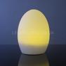 Беспроводной светильник светодиодный Egg1 с пультом